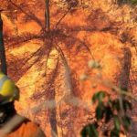 Setembro será um período crítico em queimadas