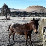 Uma semana abaixo de zero
