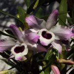 Primavera começa com frio de inverno no Rio Grande do Sul
