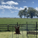 Domingo de muito sol com frio cedo e calor à tarde