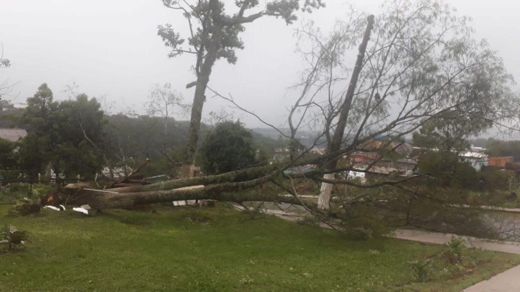 Granizo, vendavais e um downburst voltaram a fazer estragos