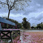 Outubro com chuva acima a muito acima da média histórica