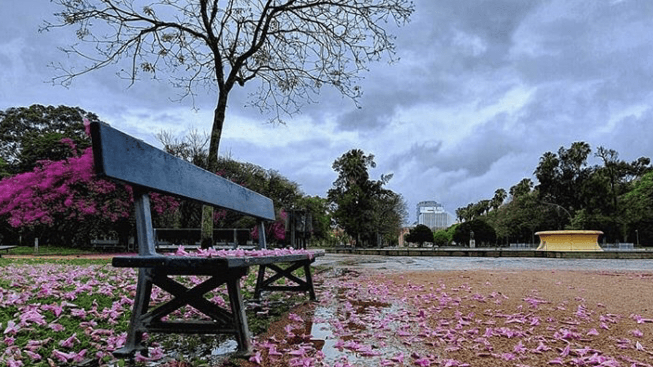 Outubro com chuva acima a muito acima da média histórica