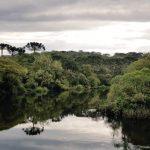 Quinta-feira com chuva em áreas sob cheias na Metade Norte gaúcha