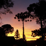 Domingo começou com frio fora de época no Rio Grande do Sul