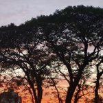 Sol predomina no Rio Grande do Sul ao longo desta quarta-feira