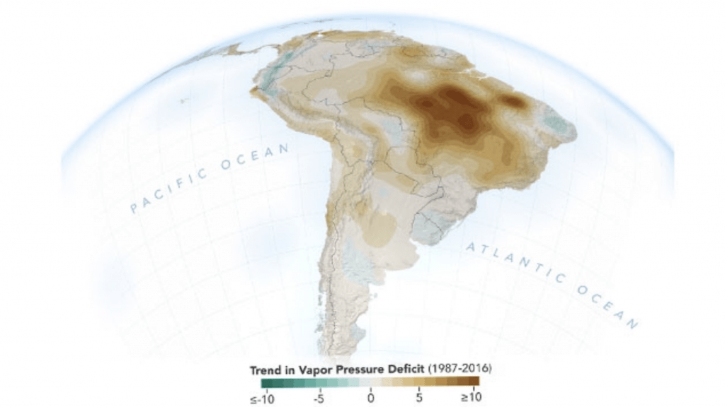 Estudo mostra preocupante diminuição da umidade na região amazônica
