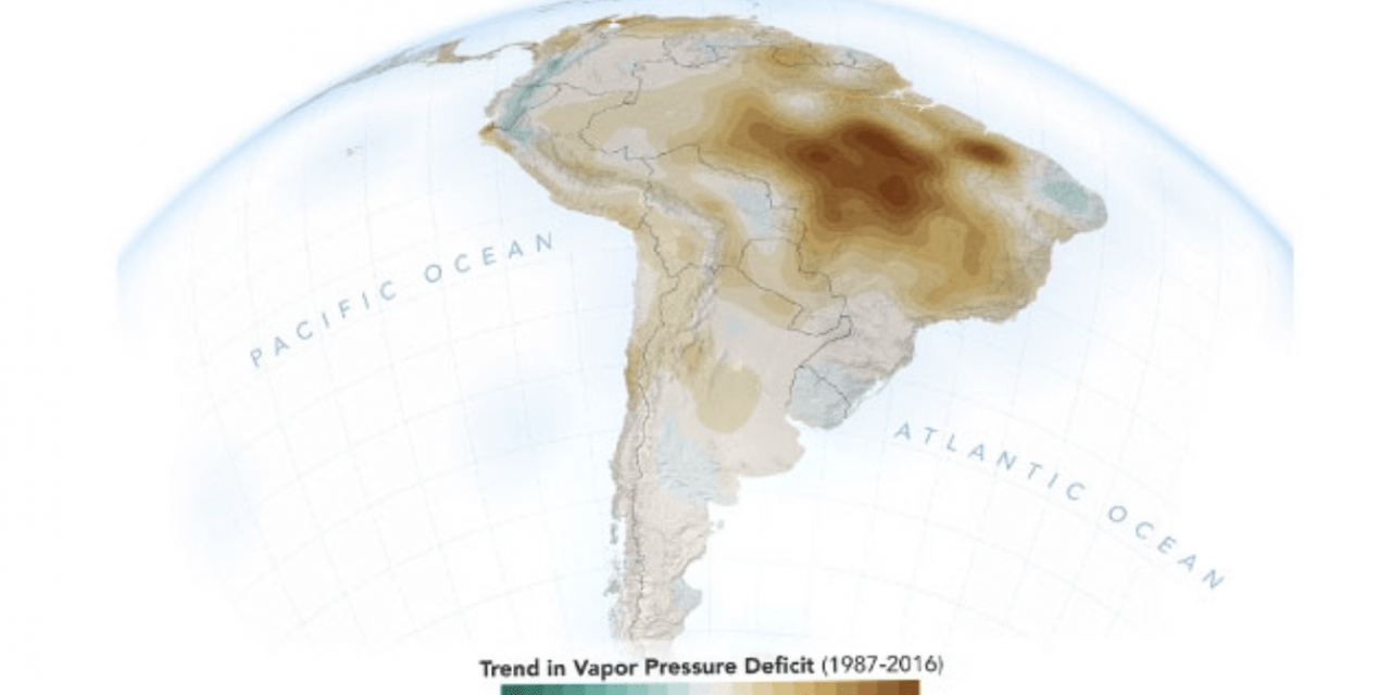 Estudo mostra preocupante diminuição da umidade na região amazônica