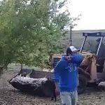 Centenas de animais morrem de frio no Oeste gaúcho