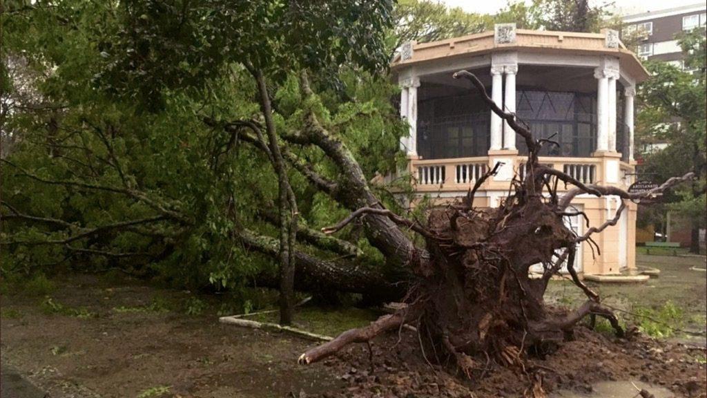 Vento de quase 150 km/h trouxe destruição na Campanha