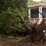 Vento de quase 150 km/h trouxe destruição na Campanha