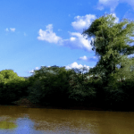 Perspectiva de chuva é muito ruim para o Rio Grande do Sul