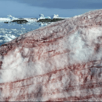 “Neve de sangue” espanta cientistas em base na Antártida