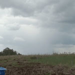 Chuva dos próximos dias terá mínimo impacto na estiagem
