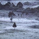Sete dias em dezembro e três com geada no Sul do Brasil
