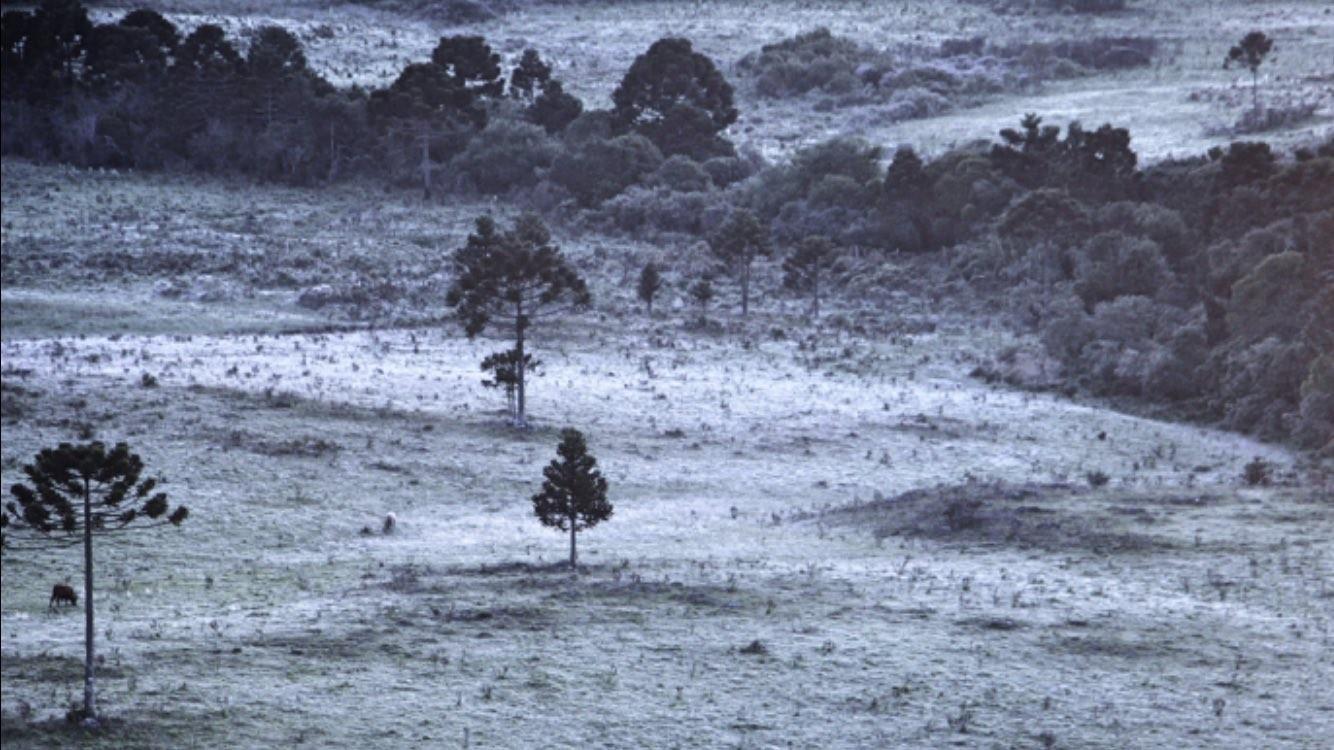 Sete dias em dezembro e três com geada no Sul do Brasil