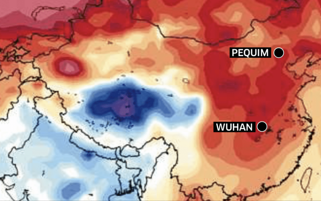 Novo coronavírus surgido na China coincide com inverno setentrional