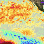 2019 termina com o Oceano Pacífico em estado de neutralidade