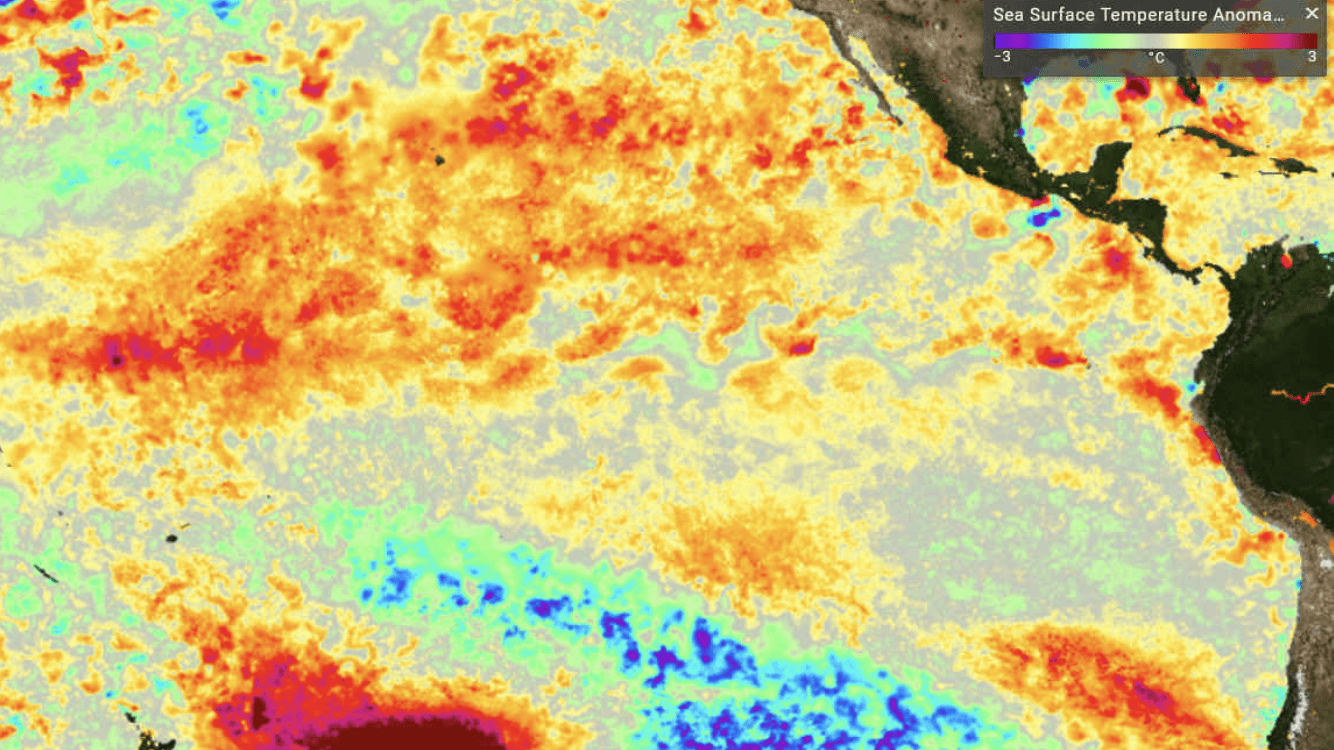 2019 termina com o Oceano Pacífico em estado de neutralidade