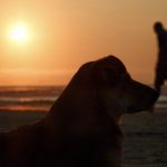 Quinta com calor ao redor de 40°C terá chuva irregular