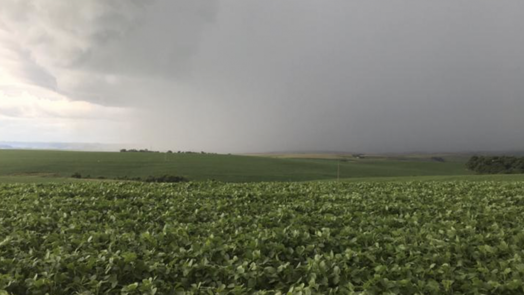 O que esperar da chuva nesta semana sob o cenário de estiagem?