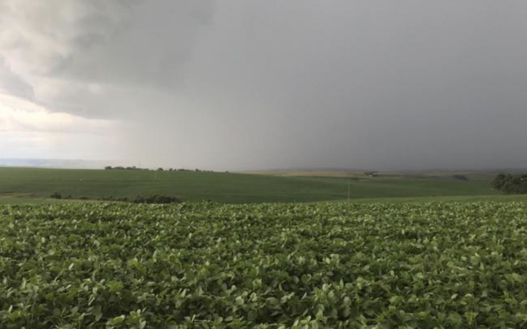 O que esperar da chuva nesta semana sob o cenário de estiagem?