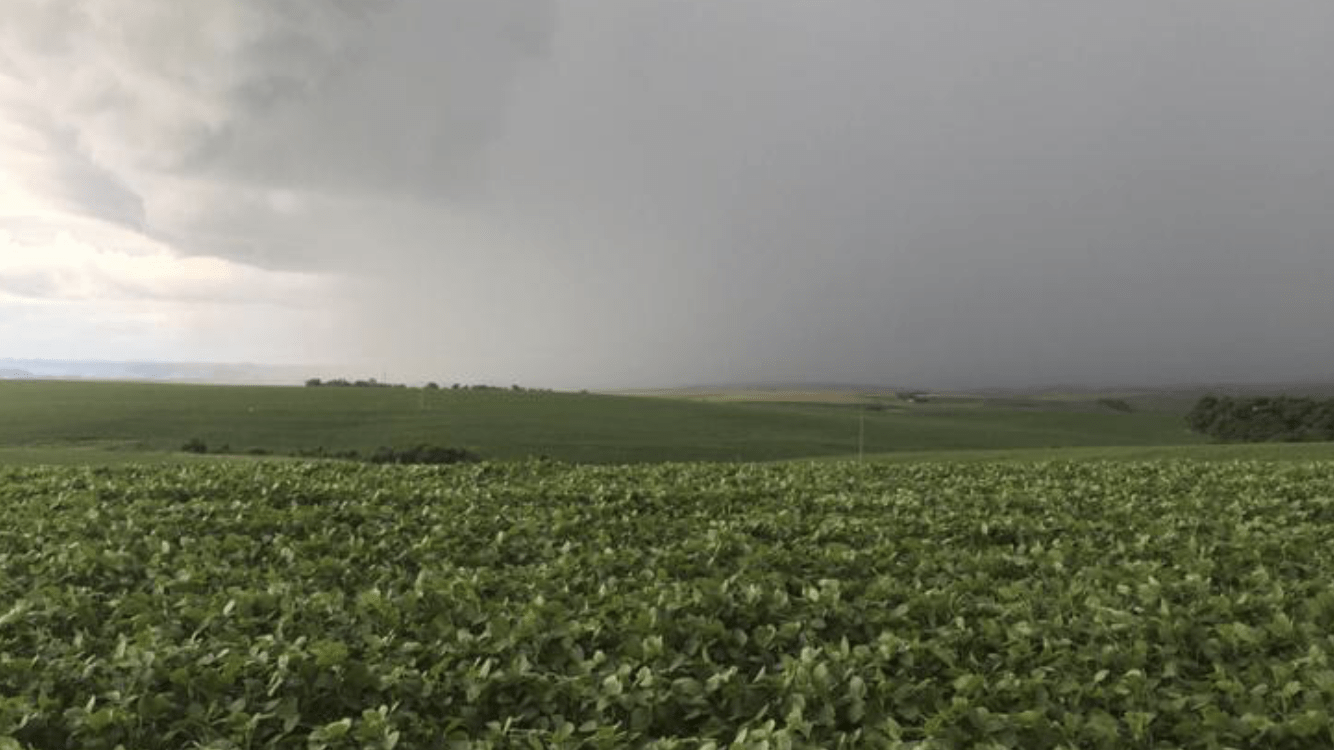 O que esperar da chuva nesta semana sob o cenário de estiagem?
