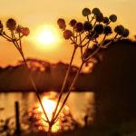 Sábado ensolarado no Estado