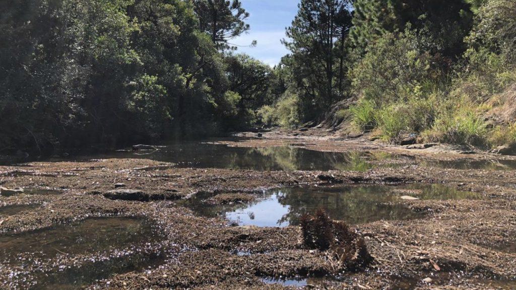Chapecó começa a racionar água devido à forte estiagem