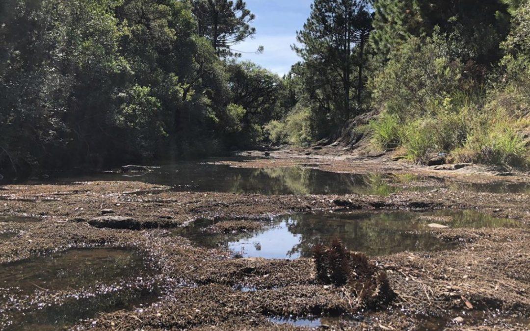 Chapecó começa a racionar água devido à forte estiagem