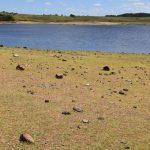 Pandemia de coronavírus e falta de água pela seca – O drama de Bagé