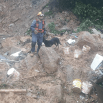 Baixada Santista é mais um dos desastres da chuva no Sudeste
