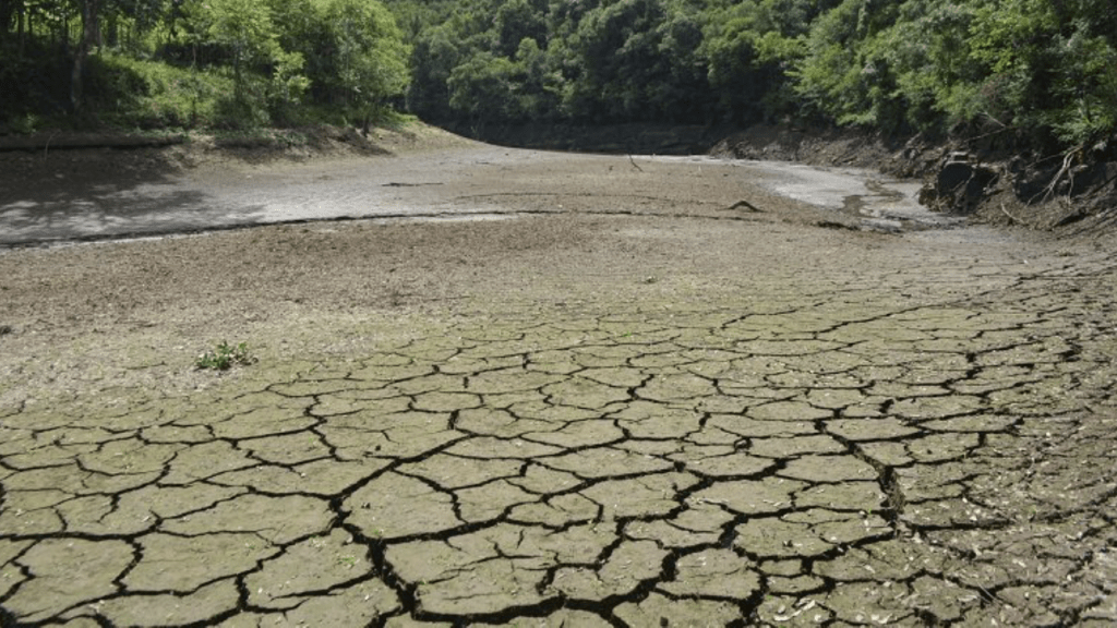 **ALERTA** Estiagem vai se agravar no Rio Grande do Sul
