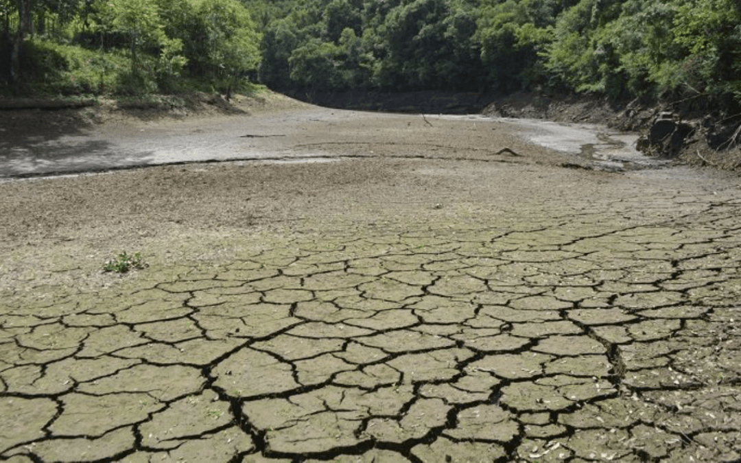 **ALERTA** Estiagem vai se agravar no Rio Grande do Sul