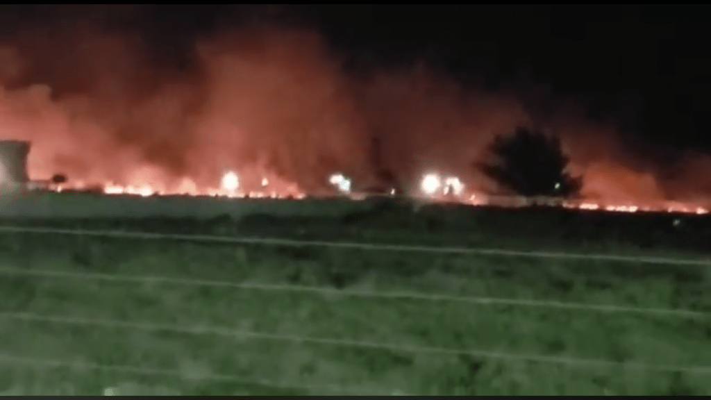 RS: Número de incêndios em fevereiro foi segundo maior já registrado