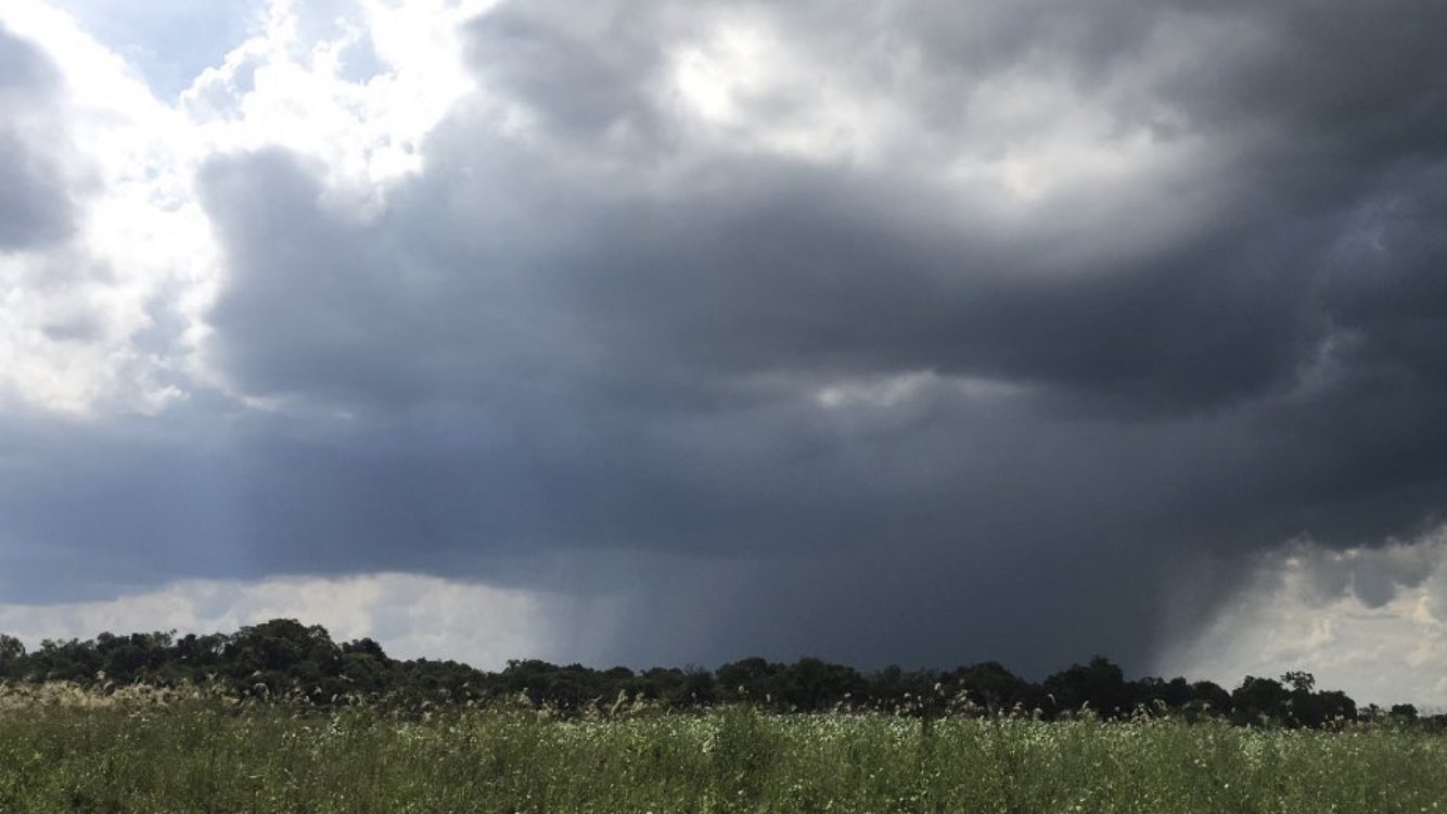 Chuva de hoje e o fim de semana será muito irregular no Estado