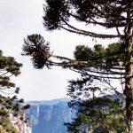 Rio Grande do Sul tem frio de 5°C pelo terceiro dia seguido