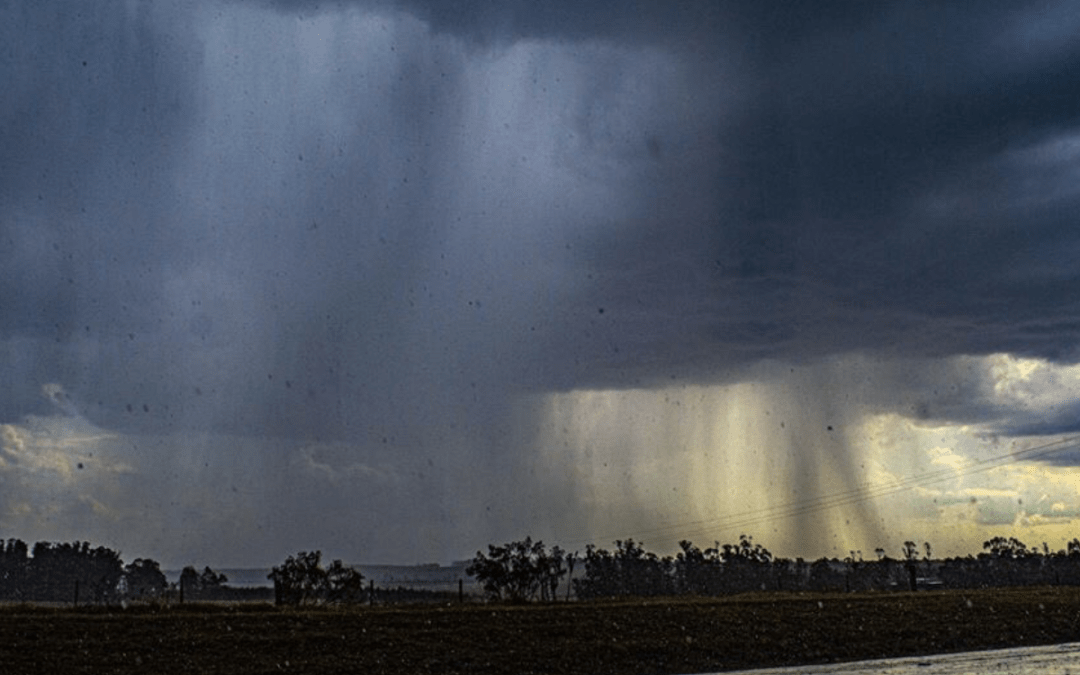Qual será o impacto da chuva desta semana na estiagem?