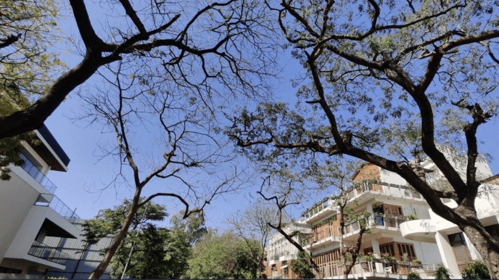 Indianos se espantam com céu azul com a crise do coronavírus