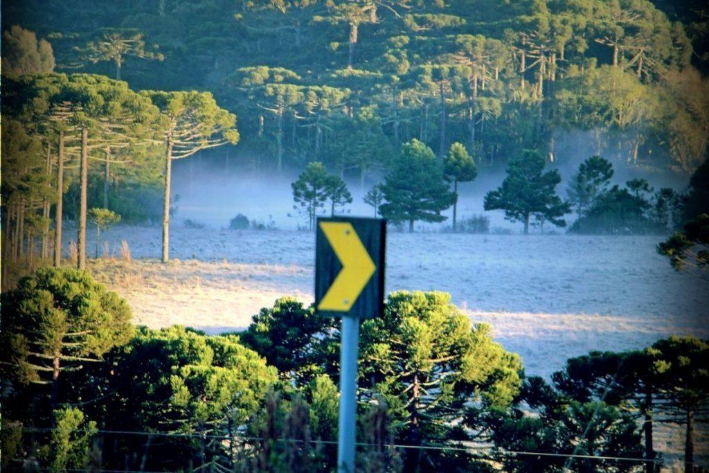 Quinto dia seguido de mínimas negativas em Santa Catarina