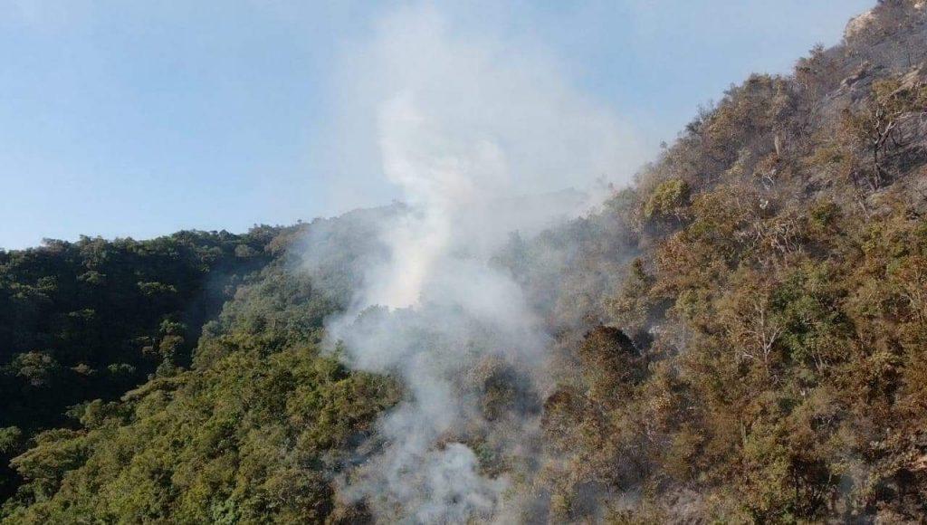 Risco de incêndios está muito alto no Rio Grande do Sul