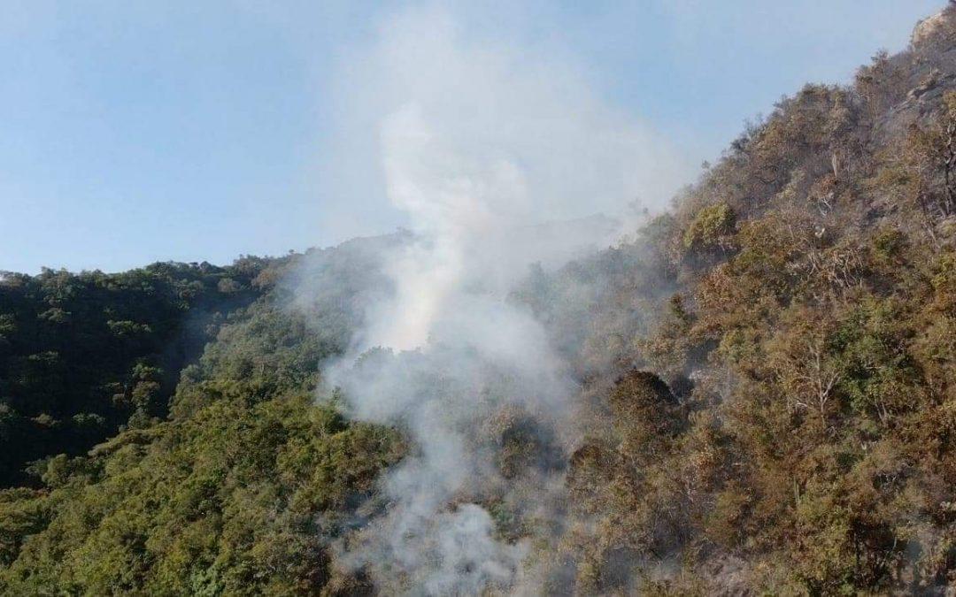 Risco de incêndios está muito alto no Rio Grande do Sul