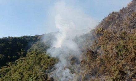 Risco de incêndios está muito alto no Rio Grande do Sul