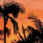 Confira a previsão do tempo para esta terça-feira