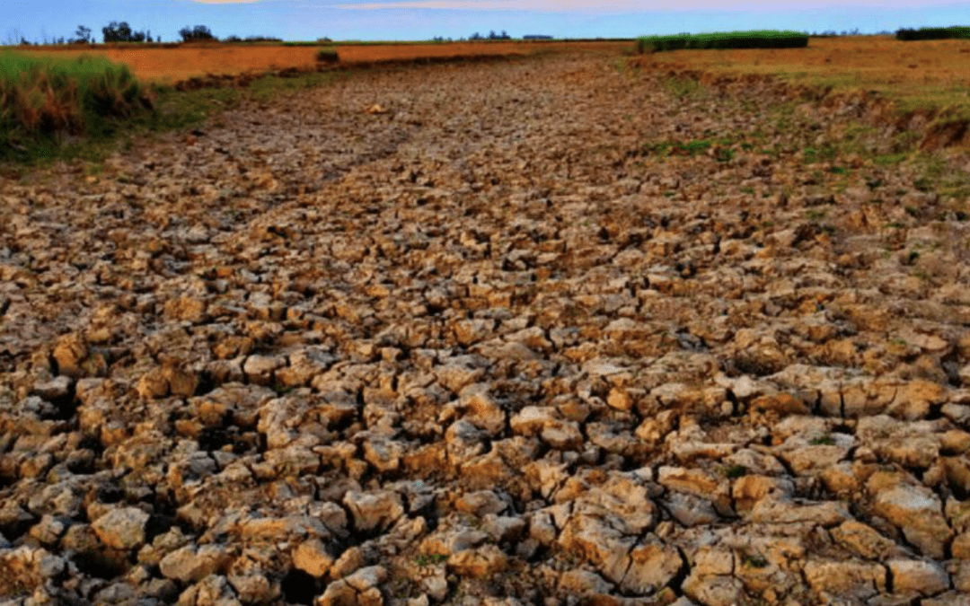 Estiagem traz falta de água no Uruguai
