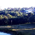 Rio Grande do Sul teve mínima de 0,0°C nesta quinta