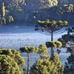 RS e SC começaram a quarta-feira com 0°C e geada