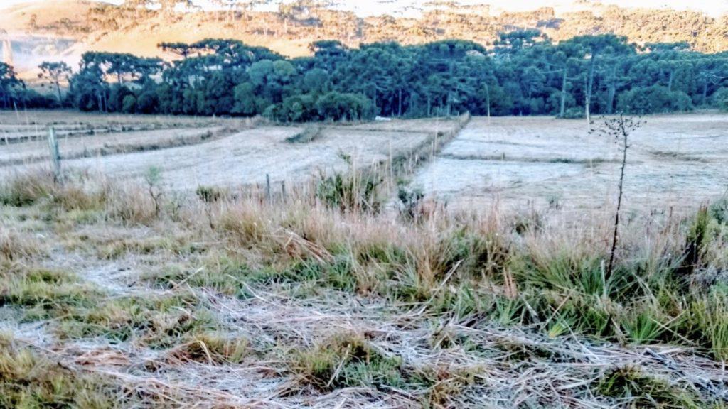 Feriado começou com temperatura negativa no Sul do Brasil