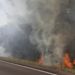 Abril pode terminar com recorde de queimadas no Rio Grande do Sul