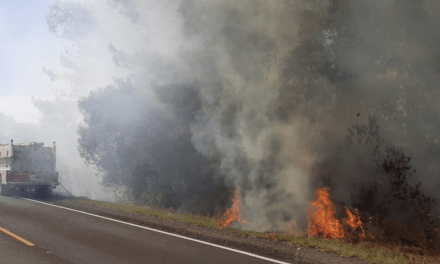 Abril pode terminar com recorde de queimadas no Rio Grande do Sul